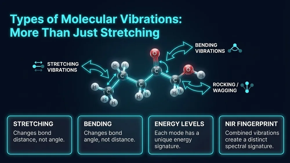 Diagram showing symmetric and asymmetric stretching plus bending vibration modes in O-H, N-H, and C-H bonds relevant to grain NIR analysis